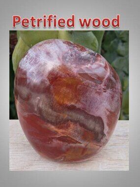 Petrified Wood chunk stone fossil FORTUNE strength CALMNESS 02